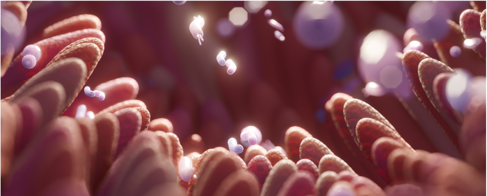 Probioline expert - Illustration haute Décrypté par Compléo