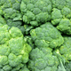 Brocoli