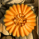Extramel® (extrait de fruit de melon)