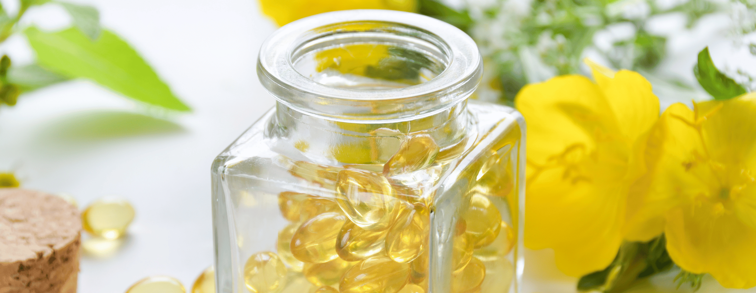 Onagre - Illustration haute Décrypté par Compléo