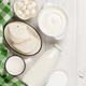 Lactase