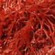 Lithothamne