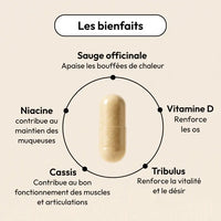 MÉNOPAUSE ACTIVE (OEMENO) Equilibrist