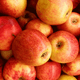 Extrait de fruit de pommier