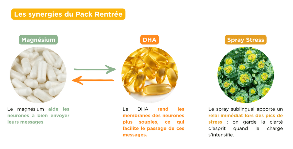 Image de présentation détaillée