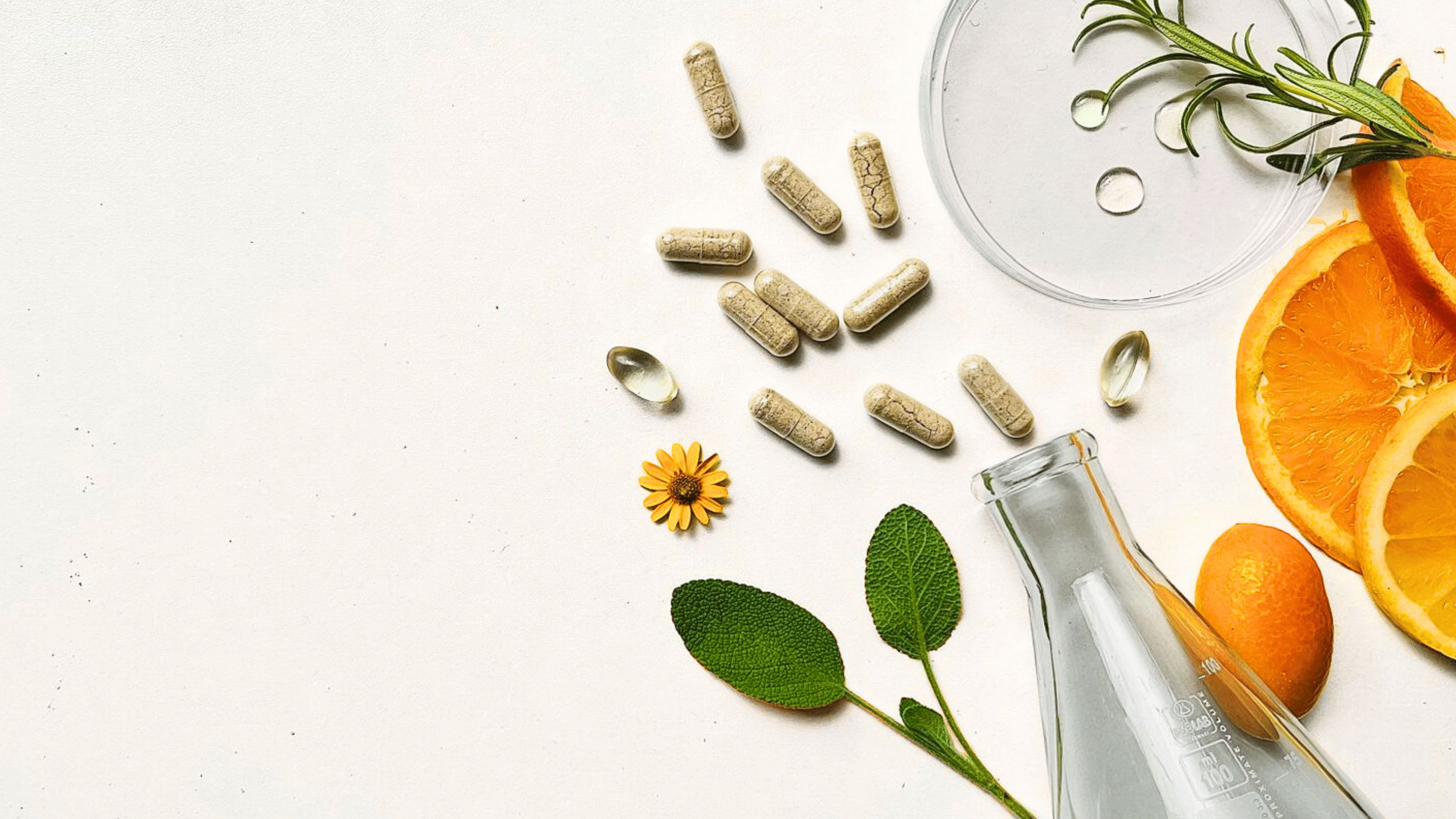 Capsules et gélules avec agrumes, sauge officinale, romarin et boîte de Petri
