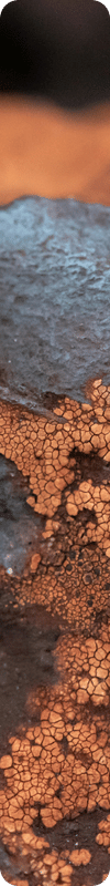 Fer Bisglycinate - Iron Mama