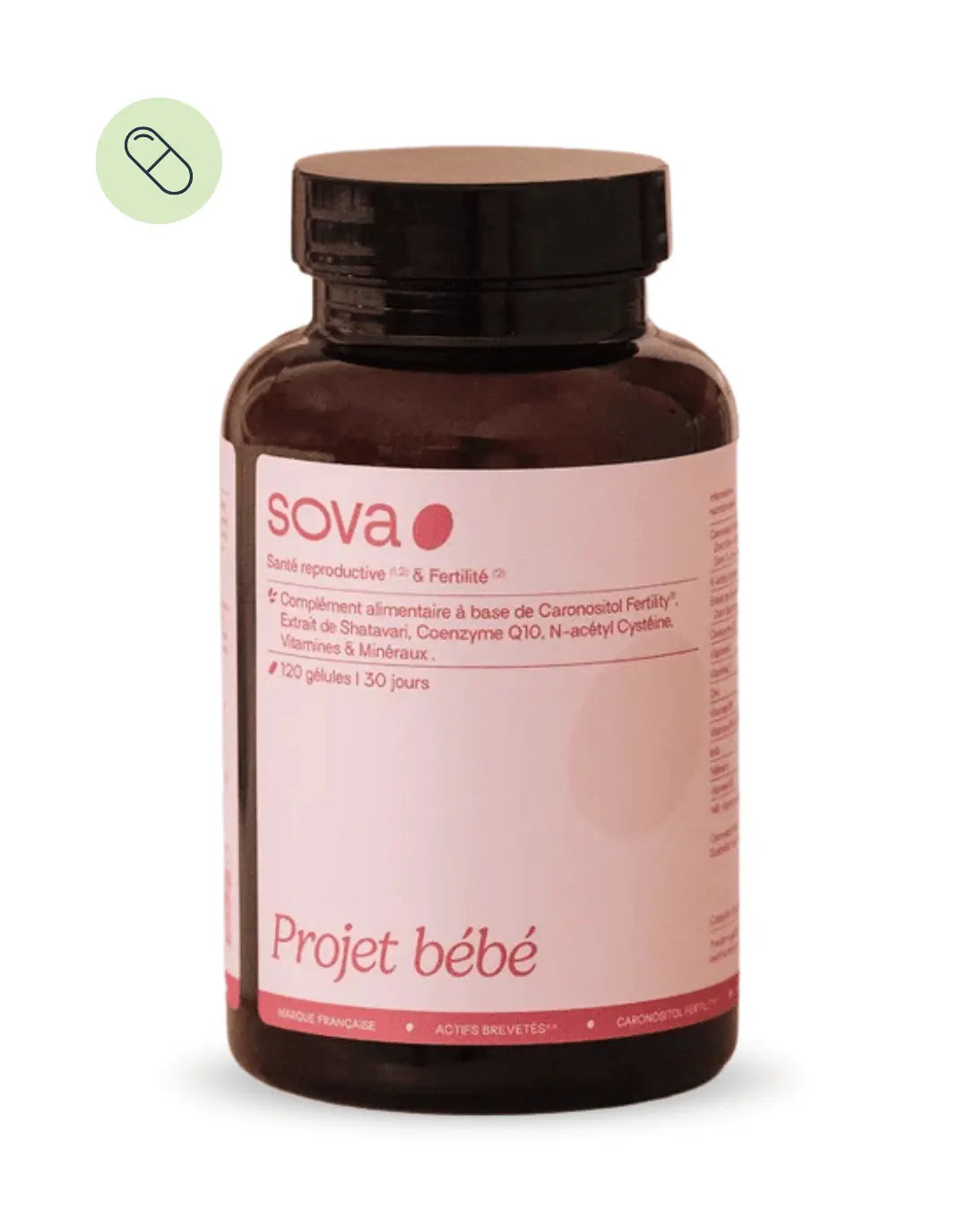 Projet bébé